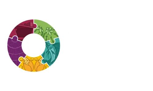 OCCE